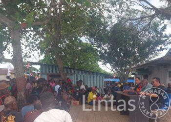 Program Jalan Wanam-Ngguti Dan Cetak Sawah 1 Juta Hektar di Merauke Merupakan Proyek Nasional