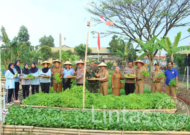 Mendukung Program Ketahanan Pangan Nasional, Danlanud Husein Sastranegara Resmikan Lahan Ketahanan Pangan