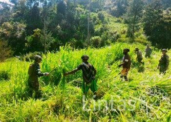 Prajurit Habema Dan Warga Milawak Bersihkan Area Bandara Beoga
