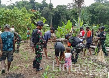 Satgas Yonif 310/KK Bantu Warga Merawat Kebun, Demi Tingkatkan Hasil Panen