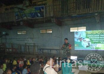 Program 1 Juta Hektar Lahan di Merauke Program Pemerintah, Bukan Proyek Swasta