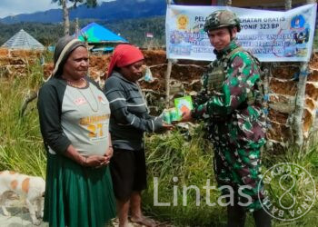 Tingkatkan Produktivitas Lahan Kosong, Satgas Yonif 323 TK Eromaga Berikan Bibit Sayuran