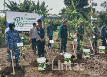 Personel Lanud Husein Sastranegara Berpartisipasi Dalam “Bandung Menanam Jilid VI”