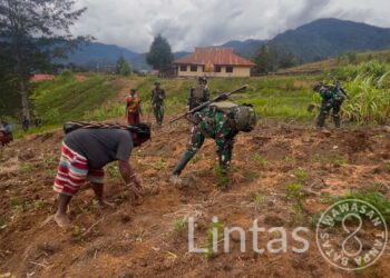 Warga Yonggolawi Antusias Cocok Tanam Bersama Satgas Habema