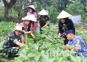 Lanud Husein Sastranegara Panen Sayuran Bersama Warga Bojong Koneng Untuk Dukung Ketahanan Pangan