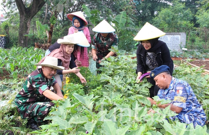 Lanud Husein Sastranegara Panen Sayuran Bersama Warga Bojong Koneng Untuk Dukung Ketahanan Pangan