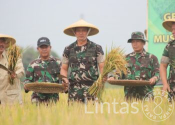 Panen Raya Kodim 0624/Kab. Bandung Untuk Ketahanan Pangan