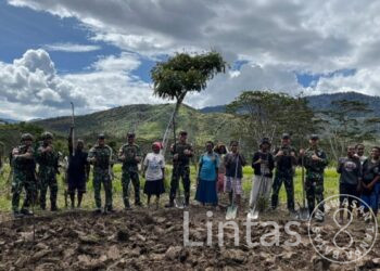 Dukung Ketahanan Pangan, Satgas Yonif 641/Bru Dampingi Petani Papua Pegunungan Olah Lahan Pertanian