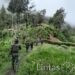 Satgas Mobile Yonif 323 Buaya Putih Kostrad Lumpuhkan Tokoh OPM di Puncak Papua