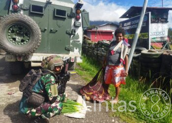 Satgas Yonif 323 Kostrad, Terus Melangkah Dukung Ekonomi Petani Lokal Papua, Dengan Program ROSITA