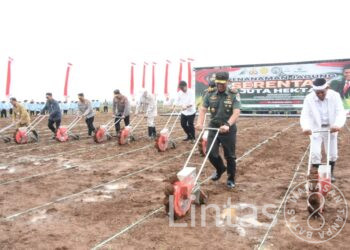 Pangdam III/Slw Ikuti Tanam Jagung Serentak 1 juta ha