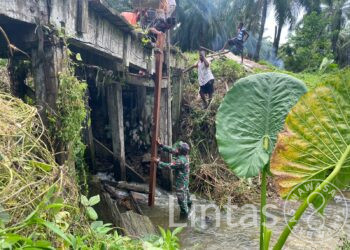 Hidupkan Kembali Akses Perekonomian Warga, Satgas Yonif 131/BRS Perbaiki Jembatan di Keerom Papua