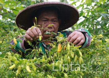 Lanud Husein Sastranegara Optimalisasi Pemanfaatan Aset TNI Angkatan Udara di Cianjur dan Cimahi Serta Cikelet Kabupatpen Garut