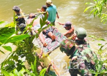 Babi Hutan Menyerang Warga, Prajurit 501 Sigap Lakukan Evakuasi