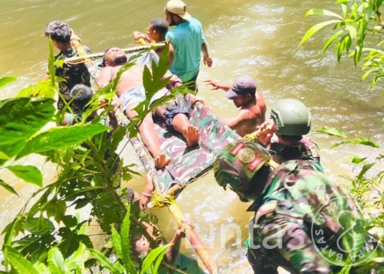 Babi Hutan Menyerang Warga, Prajurit 501 Sigap Lakukan Evakuasi