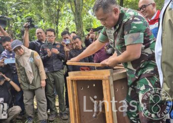 Konservasi Alam, Kasad Lepasliarkan Satwa Dilindungi di Hutan Sanggabuana