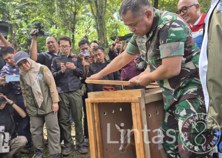 Konservasi Alam, Kasad Lepasliarkan Satwa Dilindungi di Hutan Sanggabuana