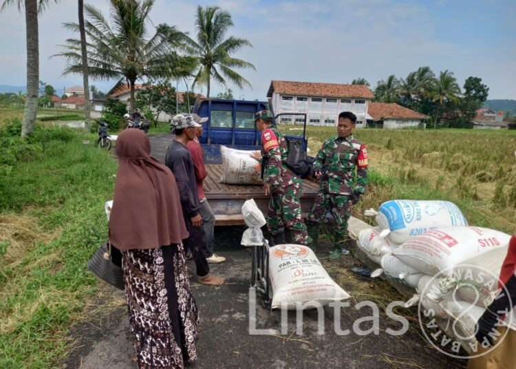 Dandim Brebes Pastikan Petani Tak Rugi, Gabah Diserap Bulog Sesuai HPP