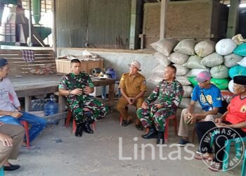Sambangi Pabrik Gabah, Dandim 1407/Bone Pastikan Penyerapan Gabah Di Wilayah Teritorialnya Berjalan Aman Dan Lancar