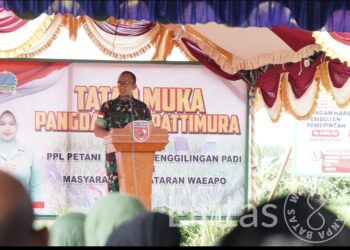 Dukung Ketahanan Pangan Nasional, Pangdam XV/Pattimura Ikut Panen Padi di Pulau Buru