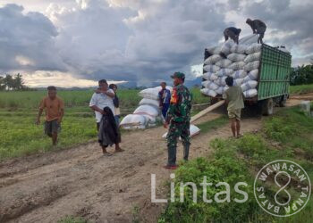 Babinsa Koramil 1316-02/Paguyaman Laksanakan Pendampingan dan Pengawalan Penjualan Gabah Kering dan Padi