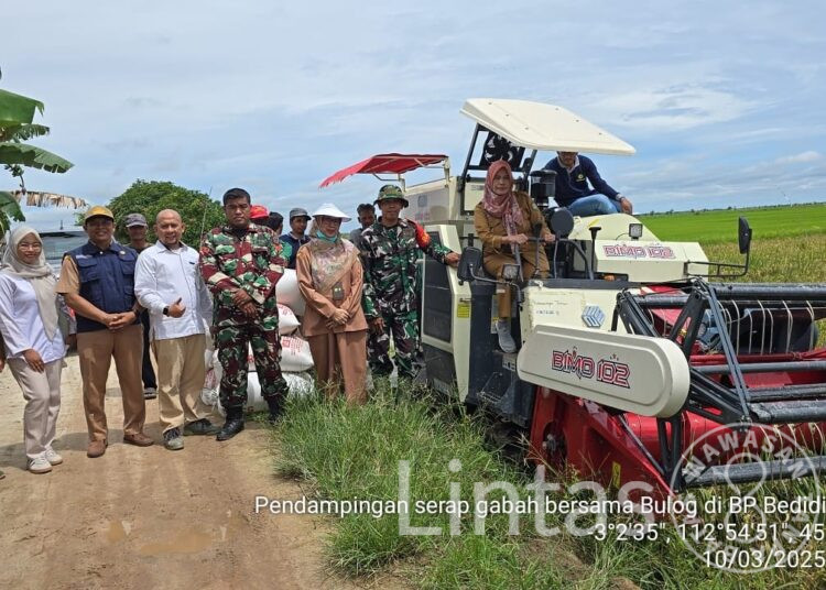 Babinsa Jajaran Kodim 1015/Sampit Laksanakan Sergab Petani Di Wilayah