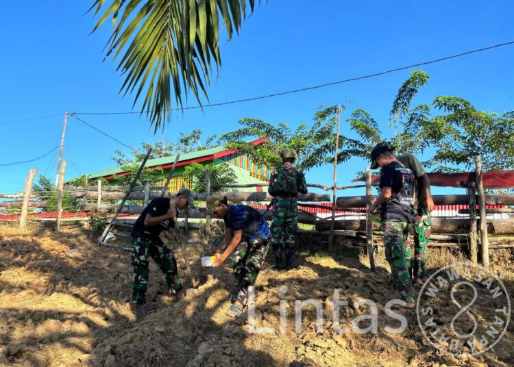 Sejahterakan Masyarakat dengan Menanam Jagung