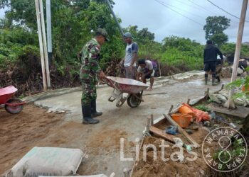 Dukung Pembangunan Dan Tingkatkan Kesejahteraan Masyarakat Babinsa Beringin Bantu Warga Bangun Jalan Setapak