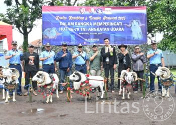 Jaga Kearifan Lokal, Lanud Husein Sastranegara Gelar Kontes Patok Domba dan Kambing