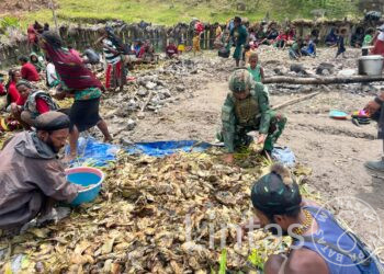 Kasih Terbakar di Tanah Tinggi: Satgas TNI dan Warga Ilaga Rayakan Paskah dengan Bakar Batu