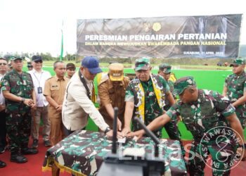Kasad dan Wamentan Resmikan Sarana Pengairan Ribuan Hektar Sawah di Sukabumi