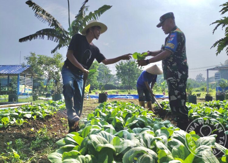Lanud Husein Sastranegara Perhatikan Kualitas Tanaman Demi Dukung Ketahanan Pangan