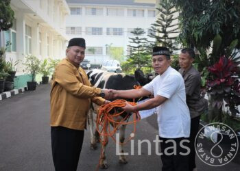 Pelaksanaan Salat Idul Adha dan Penyembelihan Hewan Kurban di Maditajenad