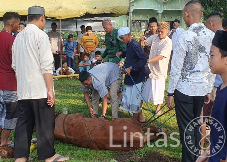 Batalyon Yonif 301/Pks Rayakan Idul Adha 10 Dzulhijjah 1446H