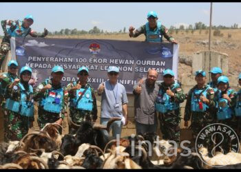 Garuda Berkurban, Indobatt Bagikan 100 Hewan Kurban untuk Masyarakat Lebanon Selatan