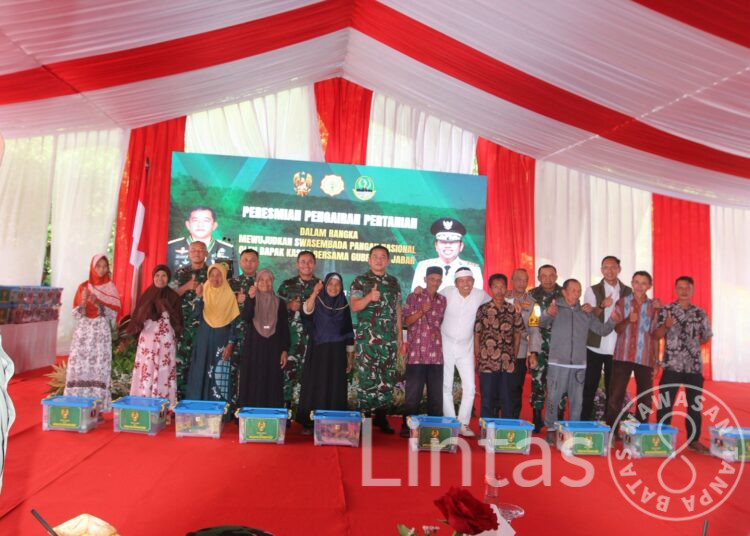 Kasad Resmikan Sarana Pengairan di Ciracap Sukabumi