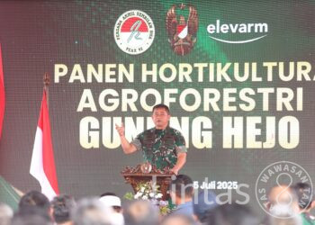 Kasad: Agroforestry Dorong Kesejahteraan Petani dan Ketahanan Pangan Nasional