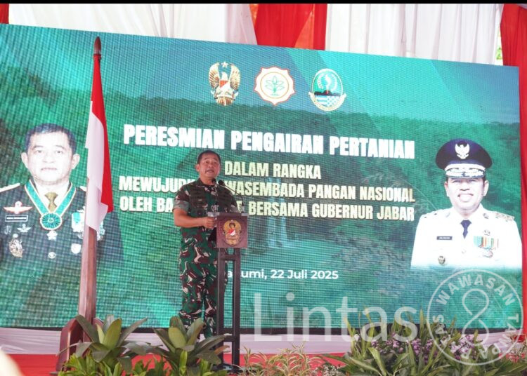 Hadirkan Air, TNI AD Hidupkan 424 Hektar Sawah Warga Sukabumi