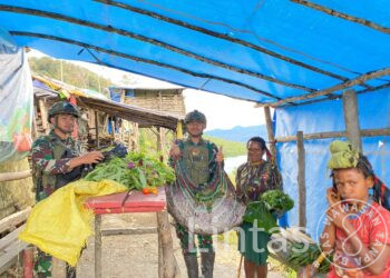 Borong Hasil Tani, Cara Satgas TNI Yonif 700 WYC Dukung Ekonomi Mama Papua di Kembru