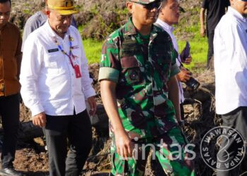 Cetak Sawah di Kalimantan, Prajurit TNI AD Sulap Lahan Jadi Lumbung Pangan