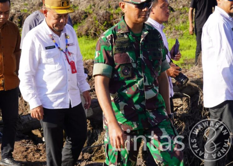 Cetak Sawah di Kalimantan, Prajurit TNI AD Sulap Lahan Jadi Lumbung Pangan