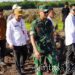 Cetak Sawah di Kalimantan, Prajurit TNI AD Sulap Lahan Jadi Lumbung Pangan
