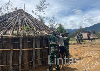 “Bangun Honai”, Satgas Yonif 700/WYC, Hadirkan Kekuatan di Balik Honai Warga Wako Papua”