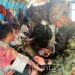 Satgas Yonif 700/WYC, Solusi Kesehatan di Tengah Pengungsian Warga Eronggobak Papua