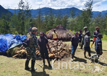 Satgas Yonif 700/WYC Bantu Warga Siapkan Acara Bakar Batu Wujud Kedekatan TNI dengan Masyarakat Papua