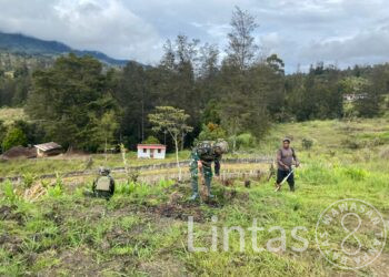 Satgas Yonif 700/WYC Bantu Warga Buka Lahan Perkebunan di Puncak, Wujud Nyata Ketahanan Pangan