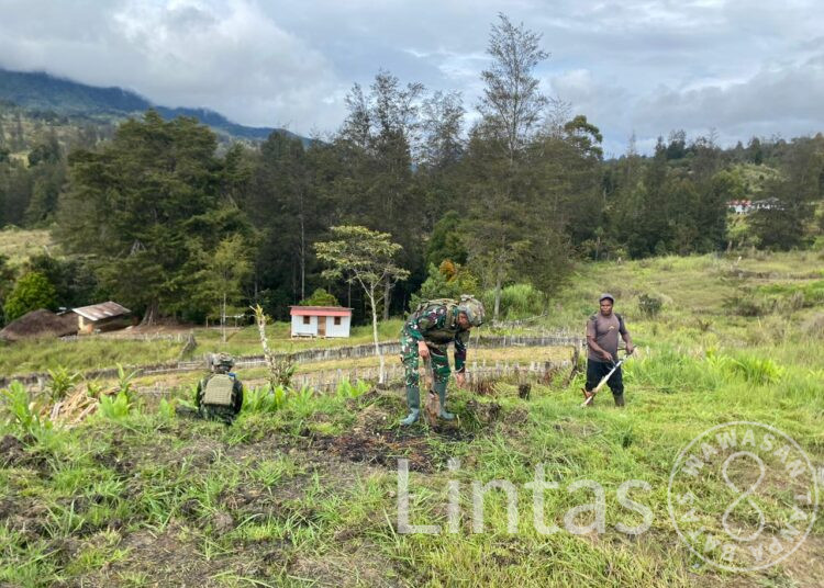 Satgas Yonif 700/WYC Bantu Warga Buka Lahan Perkebunan di Puncak, Wujud Nyata Ketahanan Pangan