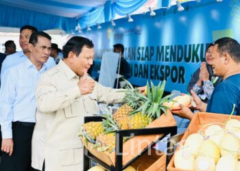 Kasad Hadiri Panen Raya di Cilebar Karawang, Presiden RI Umumkan Swasembada Pangan Nasional