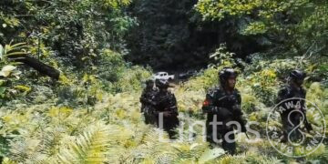 TNI Tegas dan Humanis di Papua: DPO KKB Berpangkat Brigjen Dilumpuhkan, 21 Warga Berhasil Diselamatkan