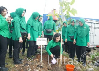Hijaukan Makassar, Persit Gelar Aktif Masif Tanam Pohon Serentak di HUT ke 80